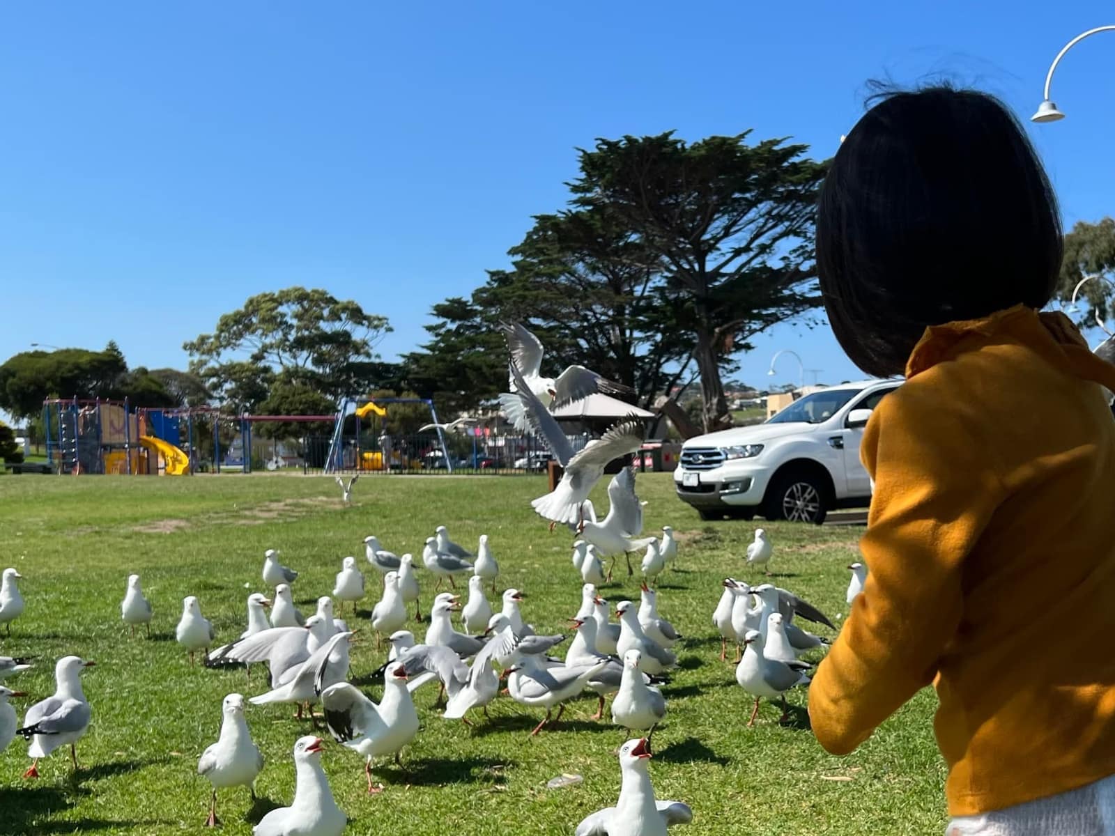 Sophie looking at birds during the drive to Phillip Island