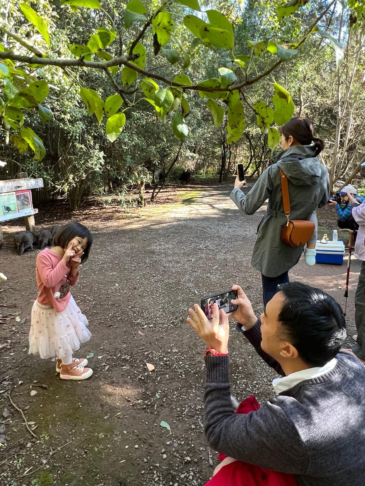 Sophie posing with Tasmanian devils while her parents photograph her