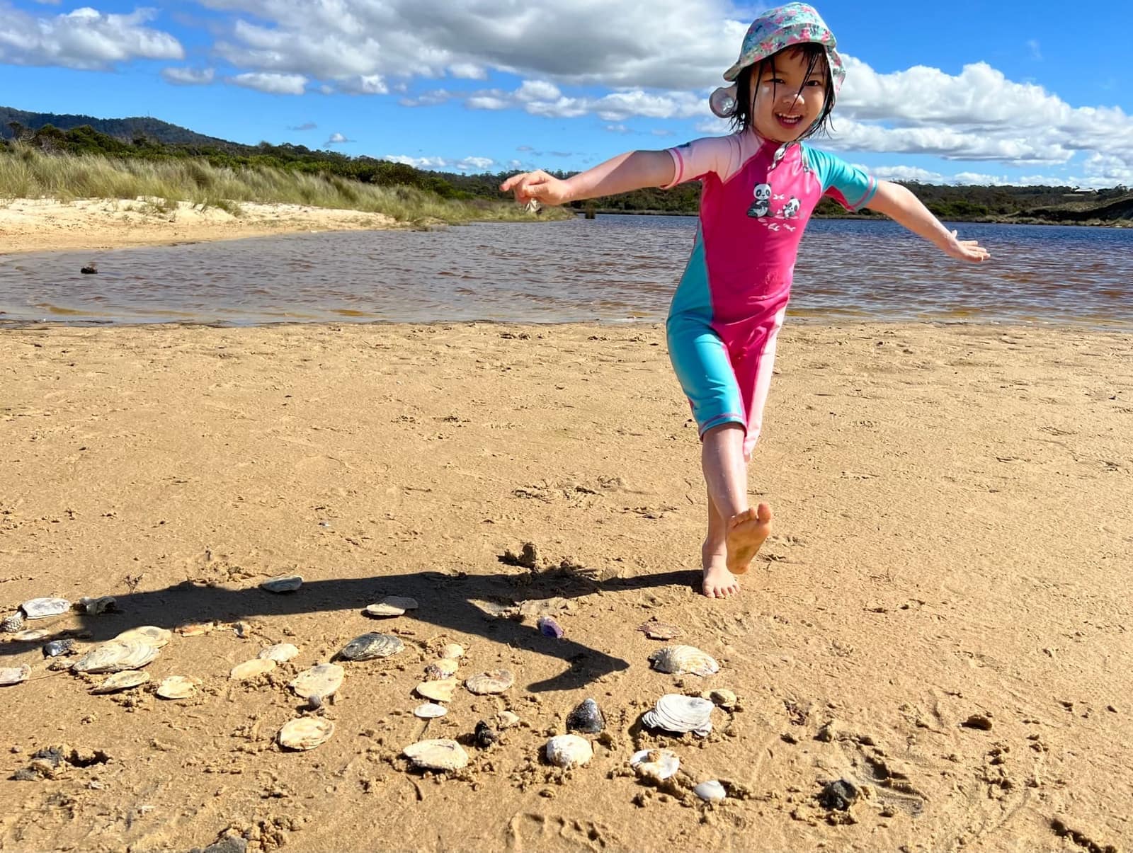 Shells collected by Sophie on the Tasmanian coast