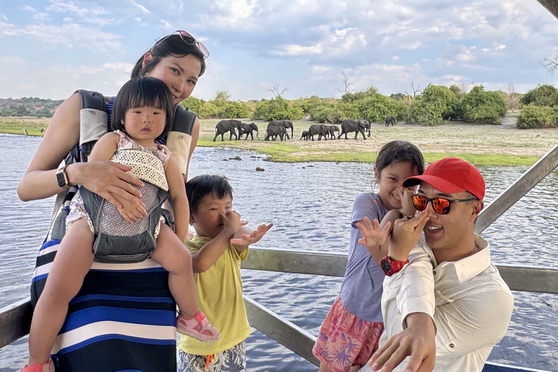 Elephants seen from a Chobe boat safari
