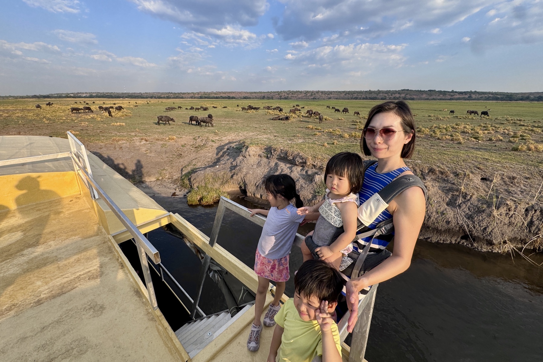 Wildebeest on the open plains of Chobe