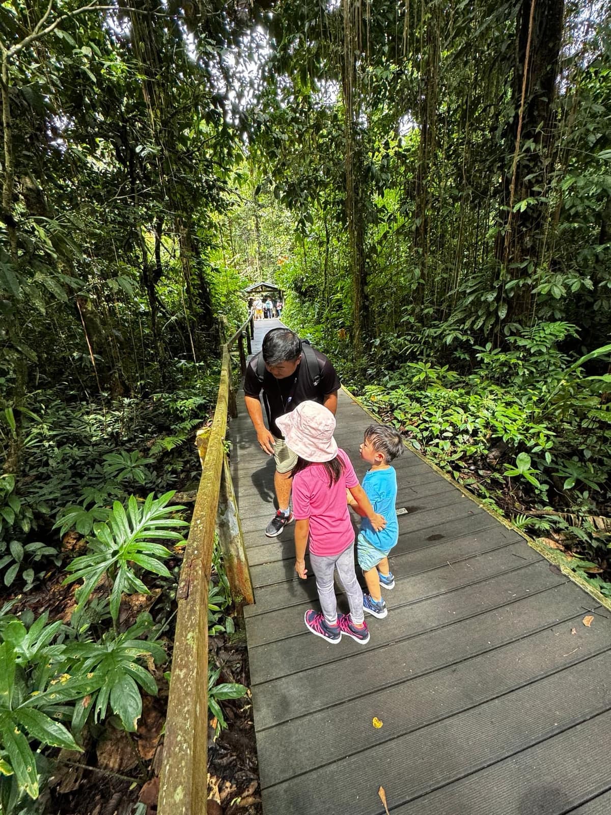 The children setting out along the rainforest boardwalk towards Deer Cave