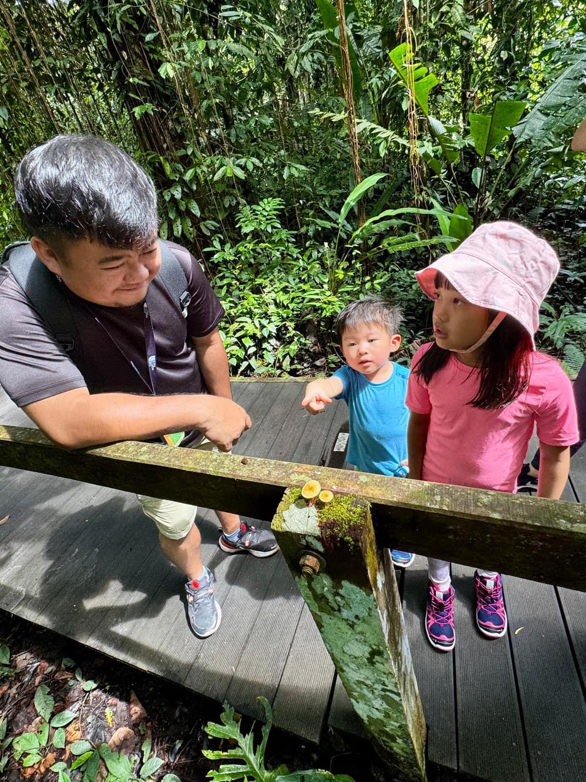 The guide showing Sophie and George something small beside the boardwalk