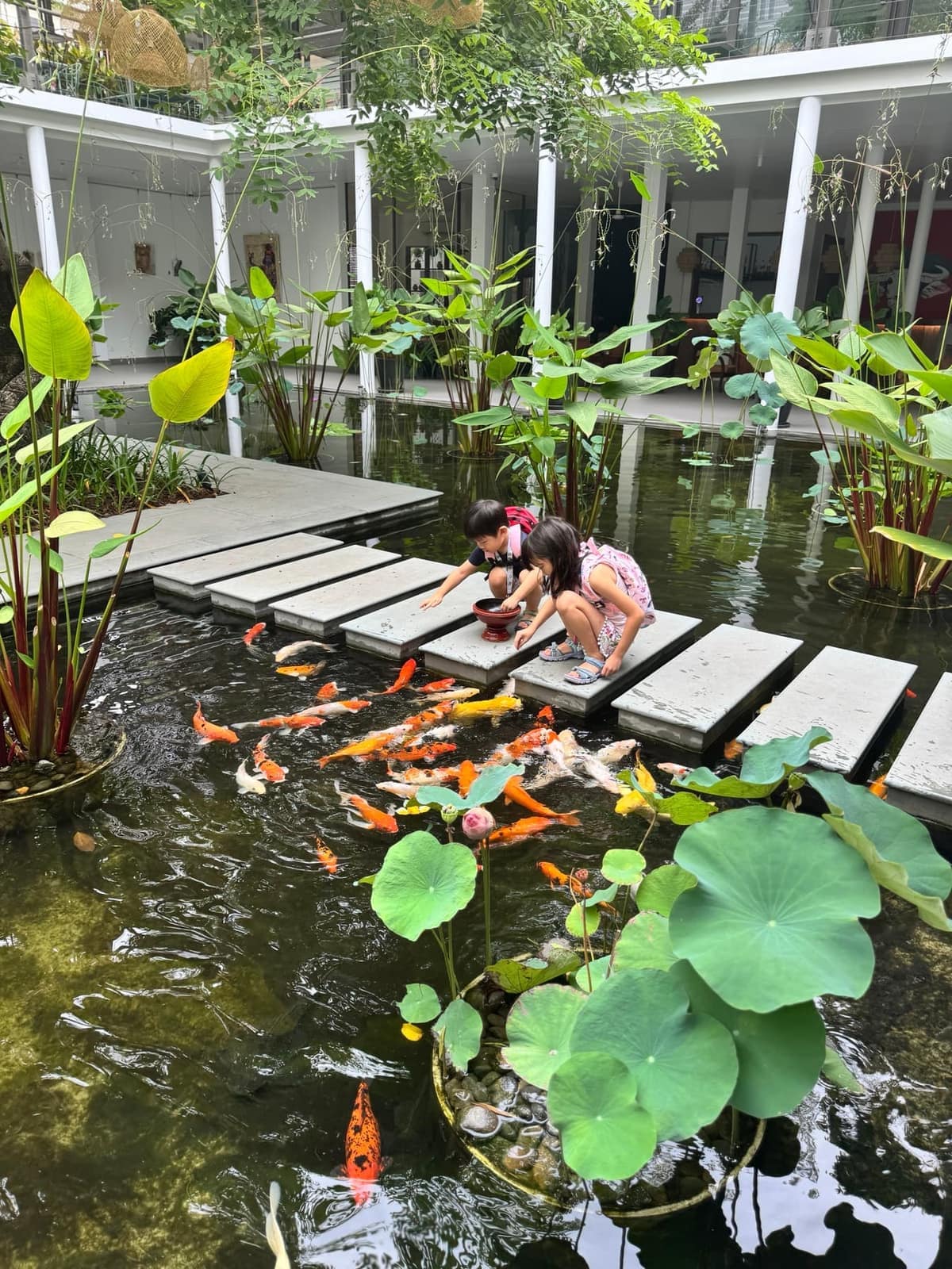 The children leaning over stepping stones to watch koi in the hotel courtyard