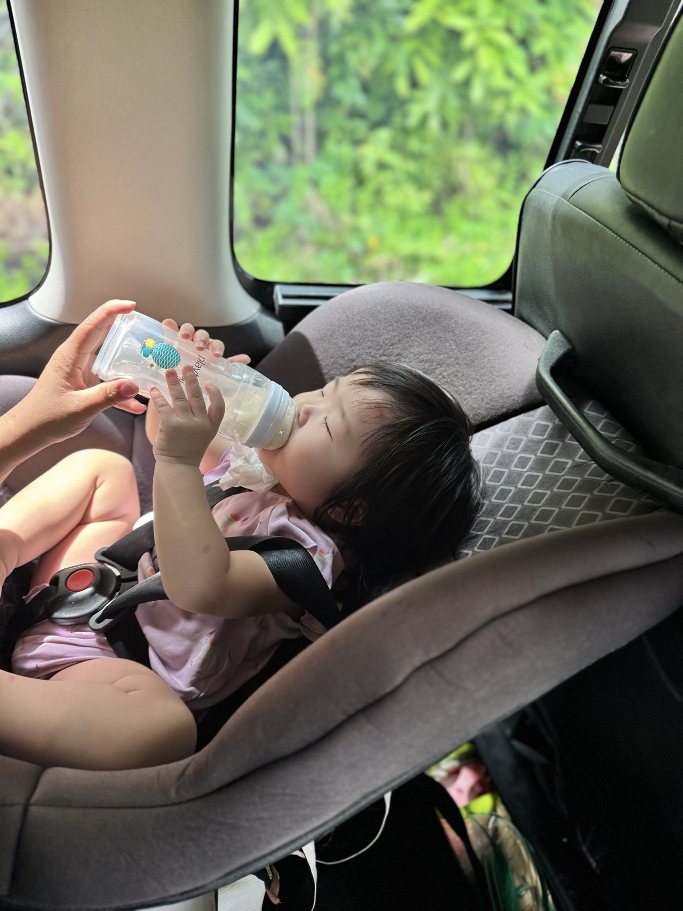 Claire drinking from her bottle in her seat during the drive north