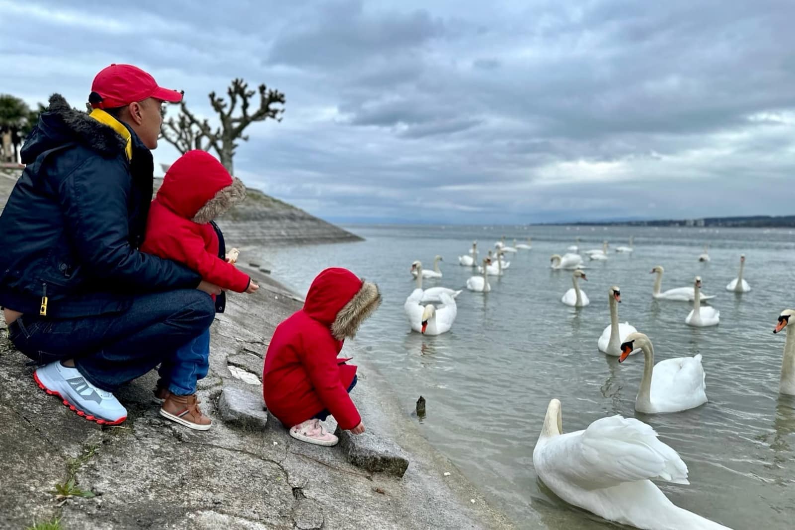 The family beside Lake Constance