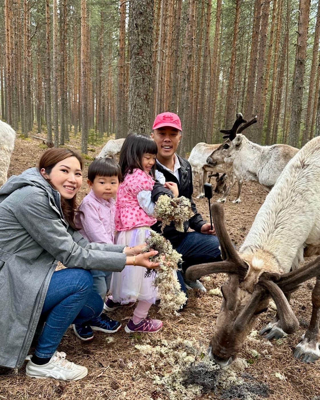 The family beside reindeer near Rovaniemi