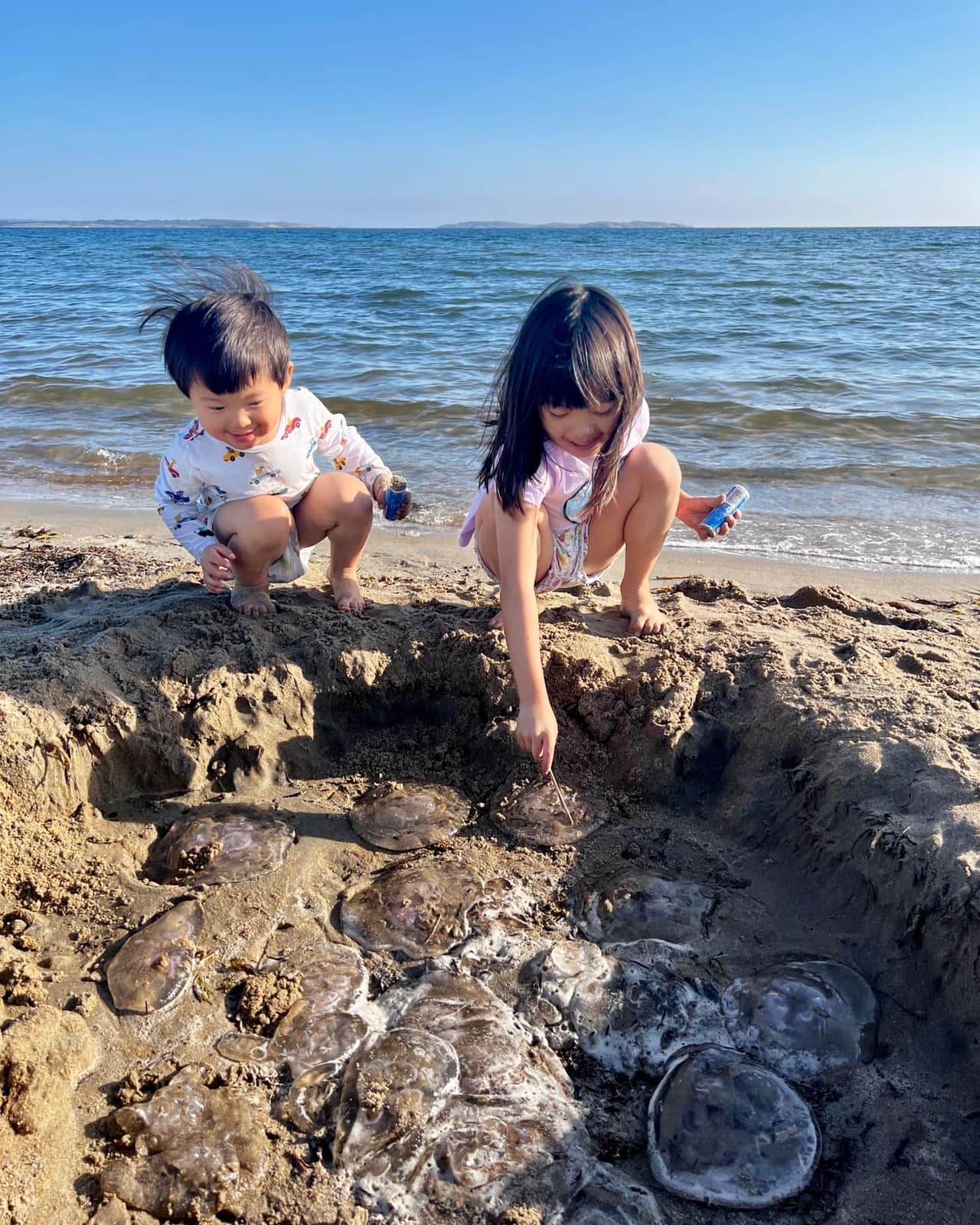 The children collecting jellyfish on a beach near Gothenburg
