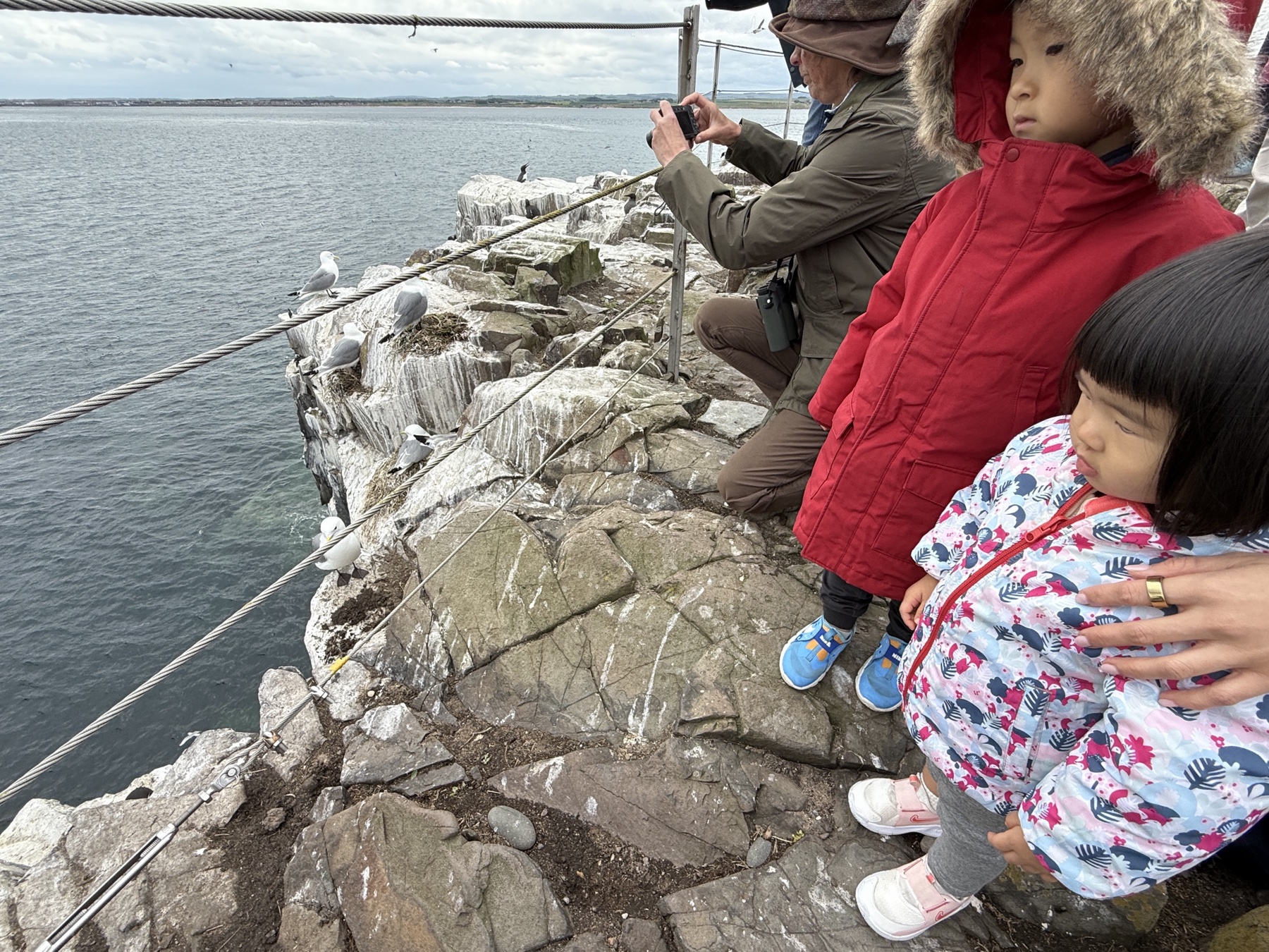 The children looking for puffins in the Farne Islands