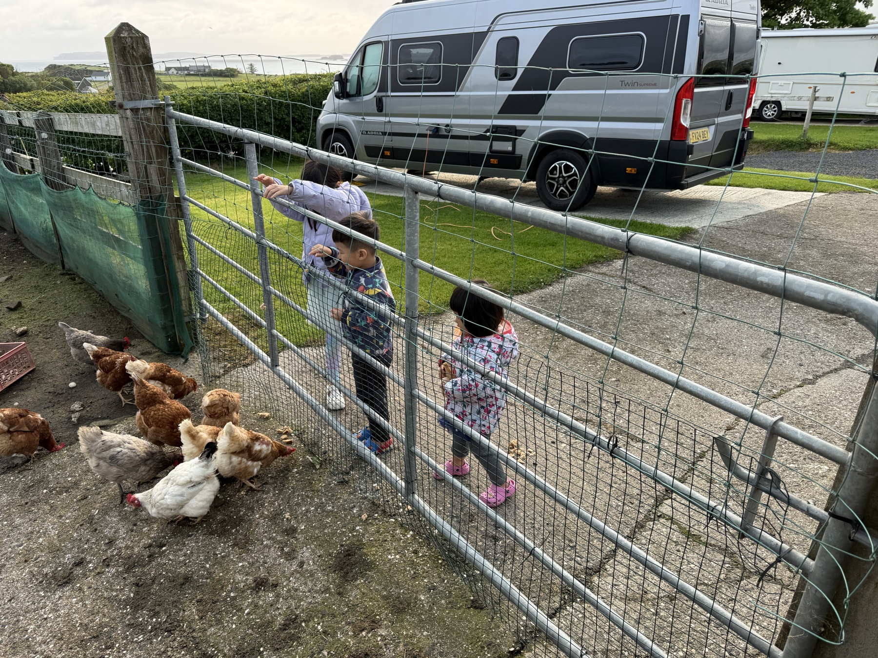 The children feeding chickens their leftovers