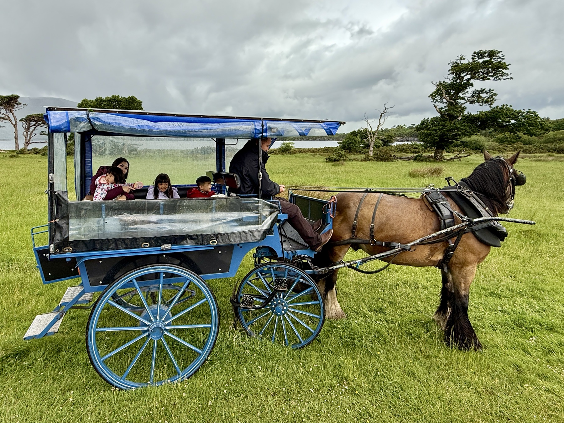 The family riding in a pony cart on a wet Irish day