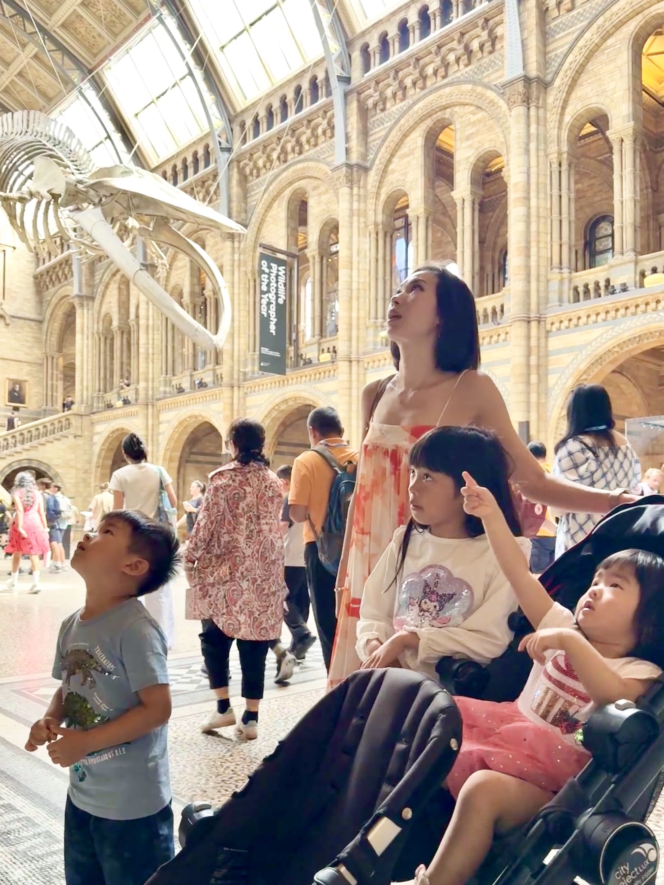 The children looking up at dinosaur bones in the Natural History Museum