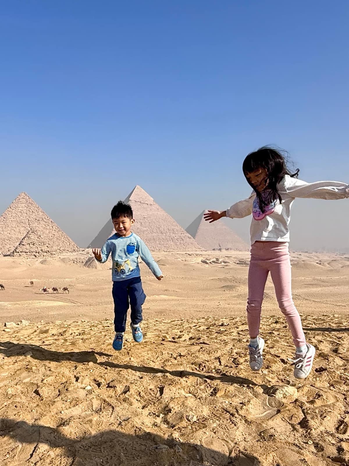 The family at the pyramids