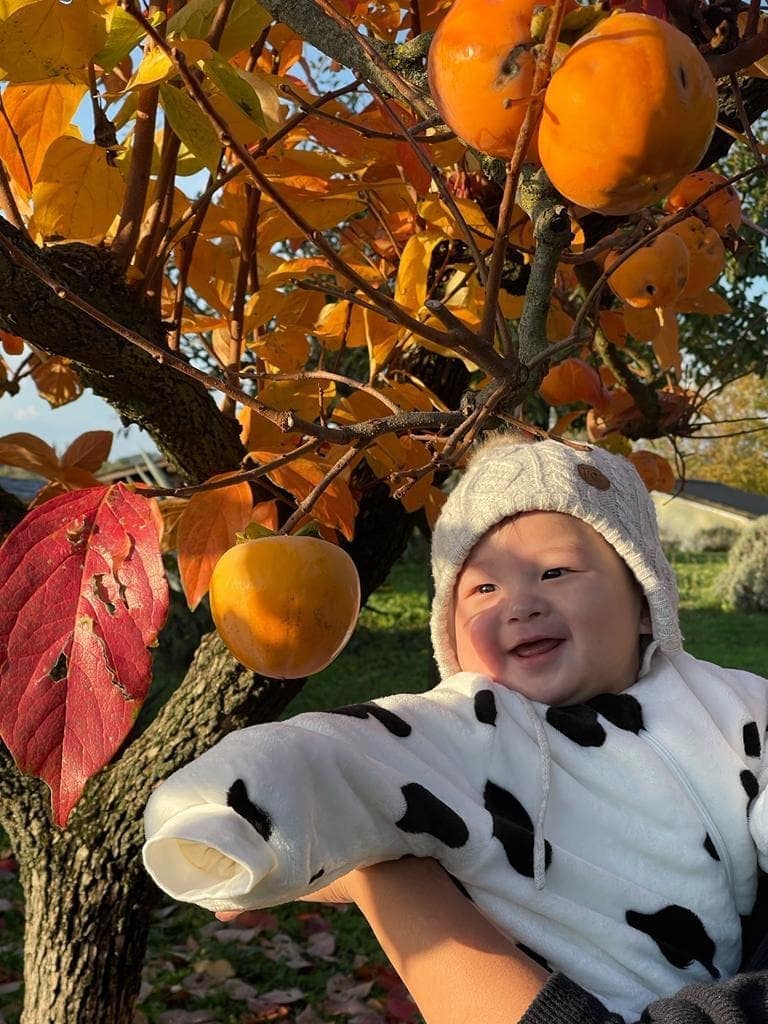 George looking at persimmons at a farm stay in rural Italy