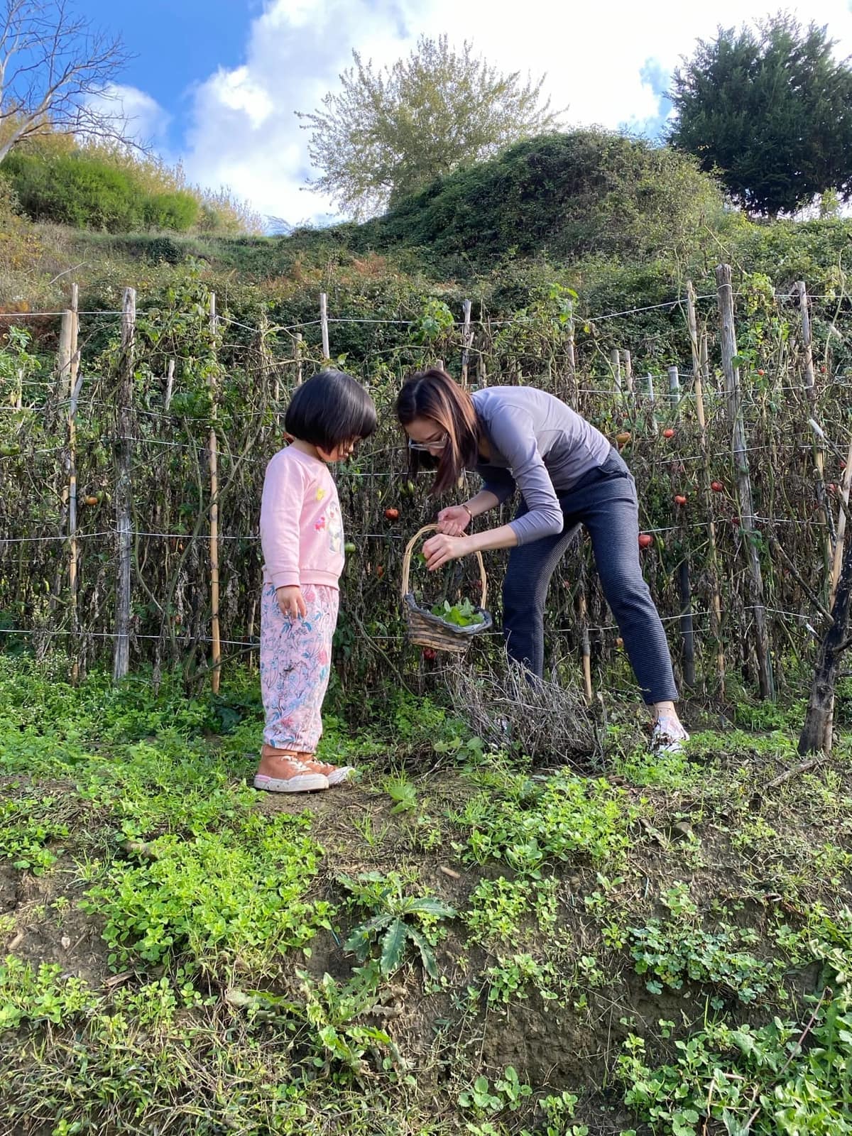 Vanessa and Sophie picking vegetables at the farm