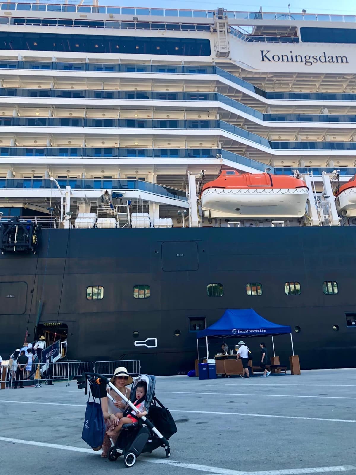 The Koningsdam in Kotor.