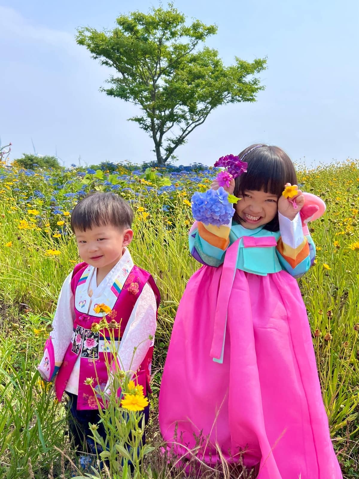 Sophie and George in hanbok in Jeju’s canola flower fields