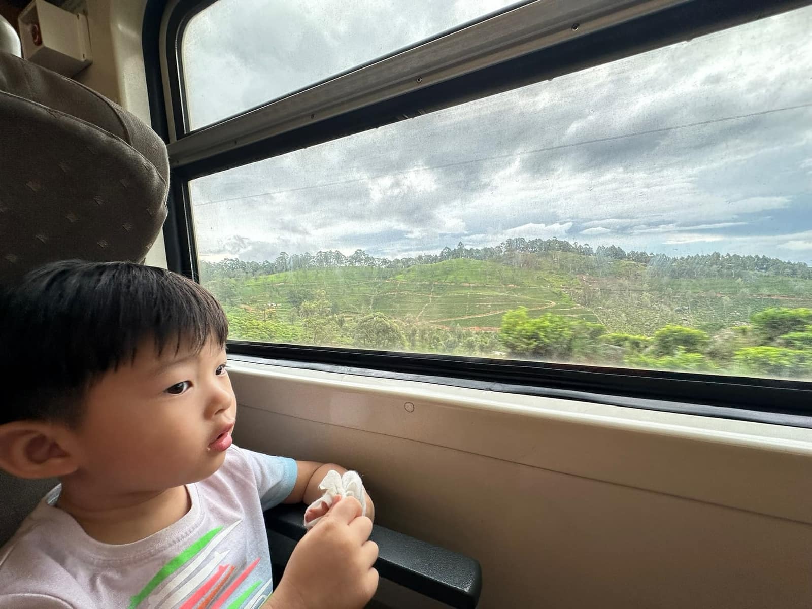 George watching tea fields pass through the train window