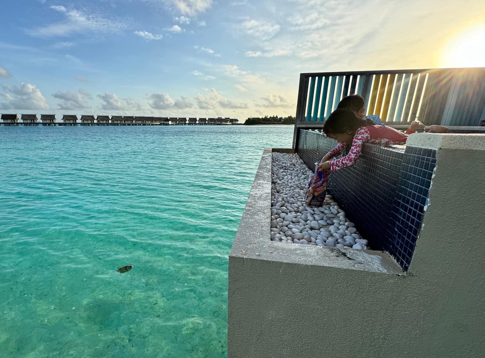 Sophie and George leaning over the pool edge together at sunset