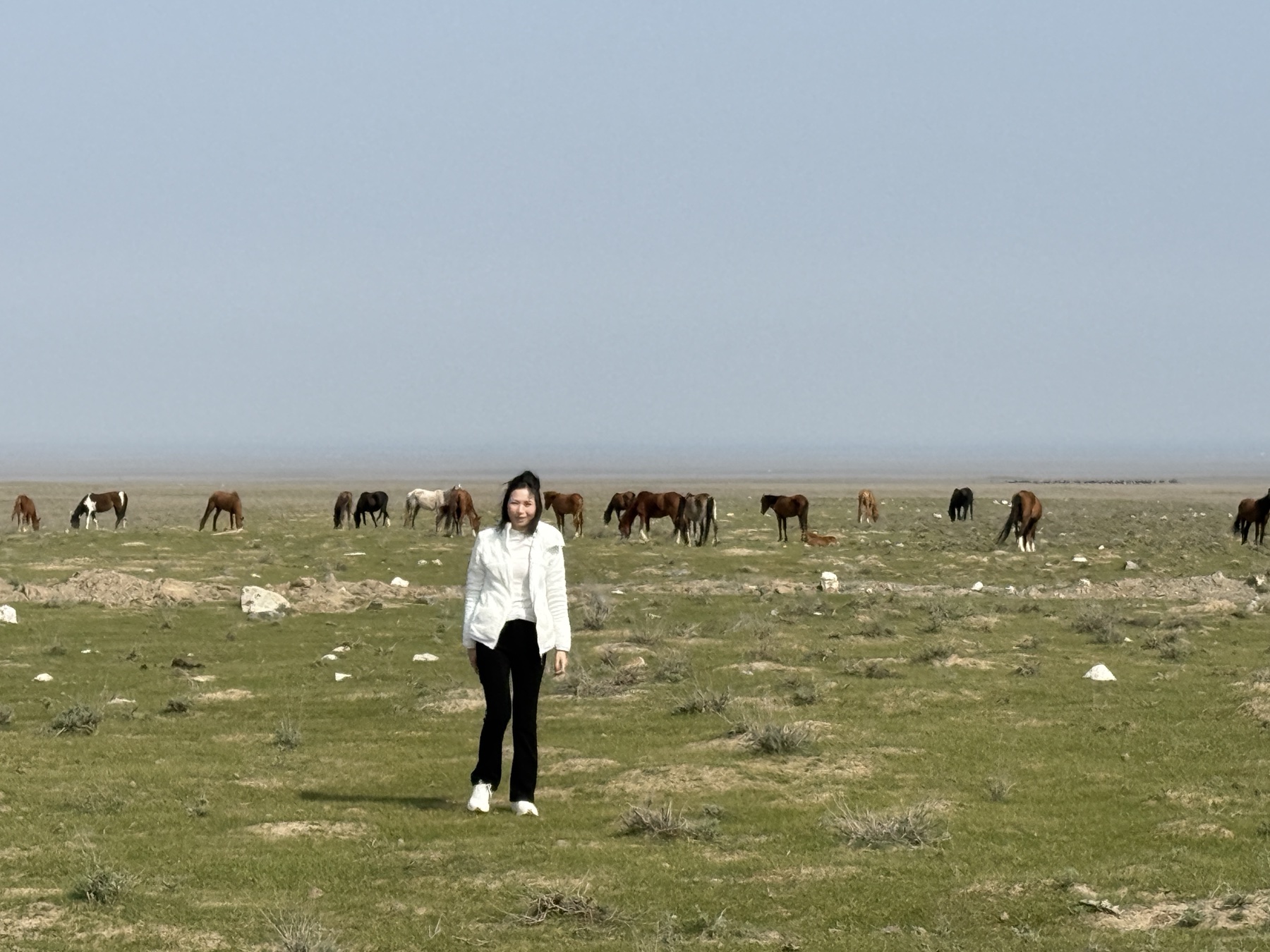 Vanessa near a herd of wild horses on the open plains of Uzbekistan